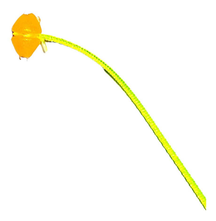 Rotor Barrilito Pesca Entorchado Nylon 50cm 0,35mm X10 U