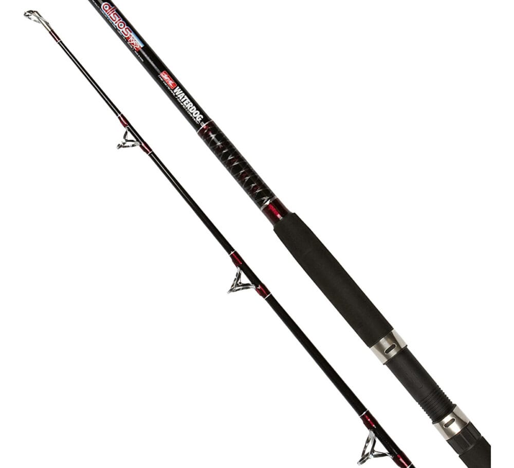 Caña Waterdog Alisios 1,95 M 2 Tramos 30 A 50 Lbs Embarcado