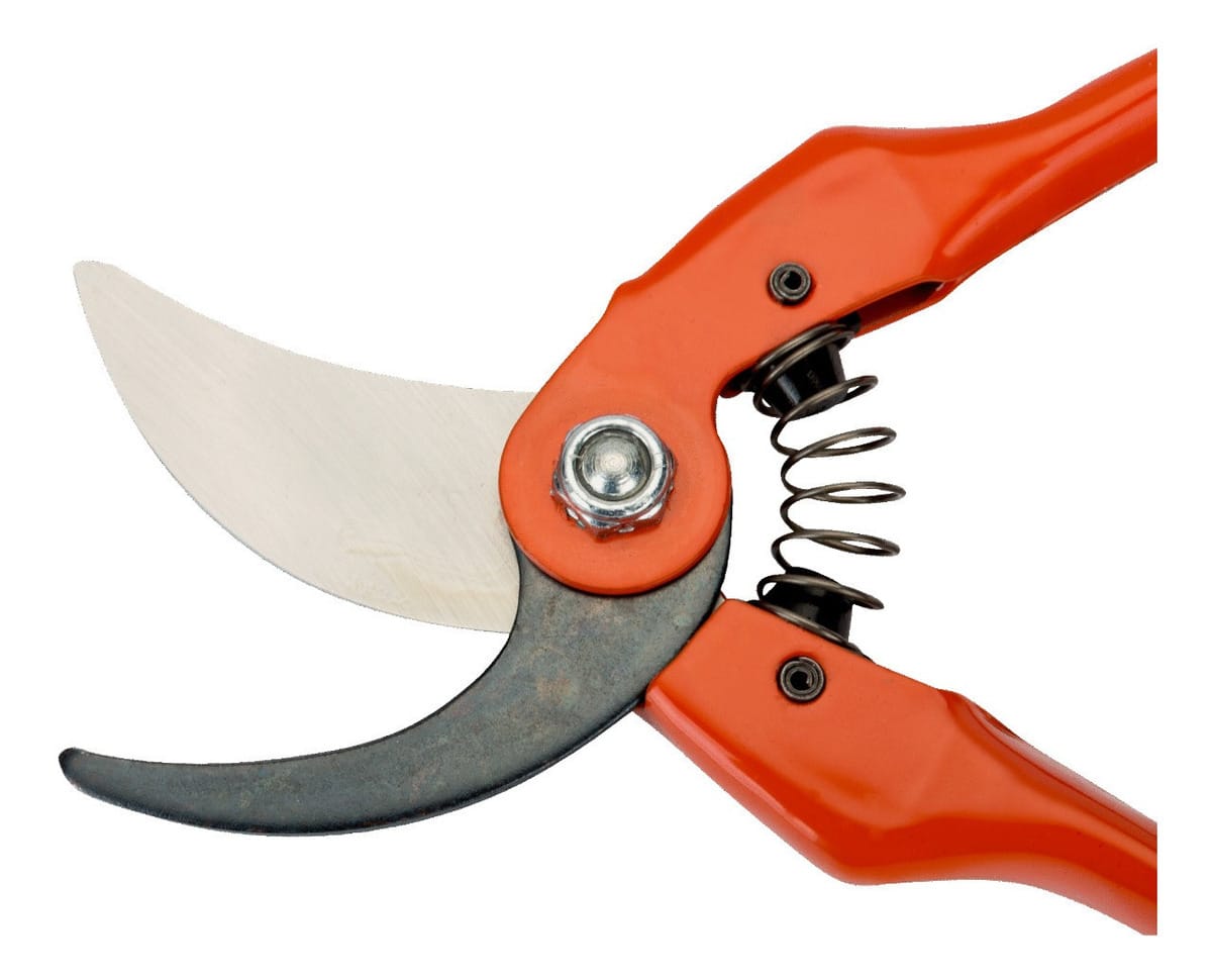 D_641017-MLA50437786895_062022-F.jpg Tijera De Poda Bahco P126-22-f Corte 20 Mm Origen Francia