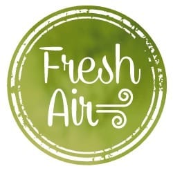 Reel Waterdog Tiagra 3004f - 3+1 Rul - 5.2:1 - Grafito