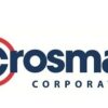 Balines Crosman Hollow Point - 4,5 - Premier - 500 Unidades