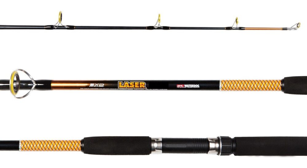 Caña Waterdog Laser Plomada 100-200gr 2,40m 2 Tramos Pesada