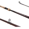 Caña Shimano Convergence 1,98 M 15-30 Lb 1 Tramo Dorado/suru