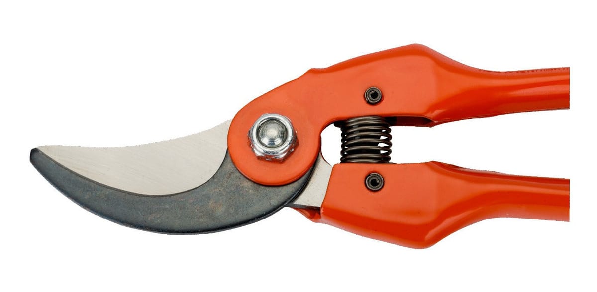 D_946401-MLA50437863749_062022-F.jpg Tijera De Poda Bahco P126-22-f Corte 20 Mm Origen Francia