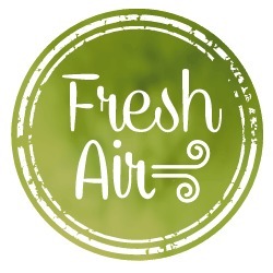 D_965476-MLA27296072785_052018-F.jpg Balines Krico Caja X100 Unidades - 5,5 Mm - Estriados