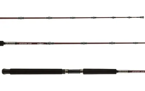 Caña Masterfish Ocean 2,10m 1 Tramo 20-30lbs Grafito Para Dorado Surubi