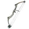 Arco Compuesto EK Archery de Fibra de Vidrio Comprimido 45-65 lbs