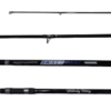 Caña Waterdog Brissa 4.20m 3 Tramos 100-250g De Lance Composición Carbon