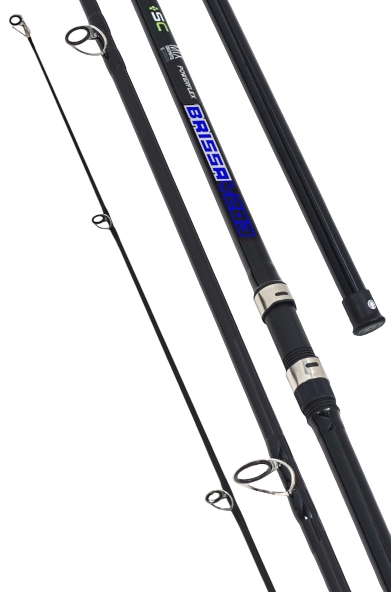Caña Waterdog Brissa 4.20m 3 Tramos 100-250g De Lance Composición Carbon